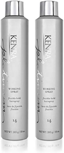 Kenra Platinum Working Spray 14 10 oz